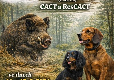 Pohar Ceskeho lesa v dosledech 2026